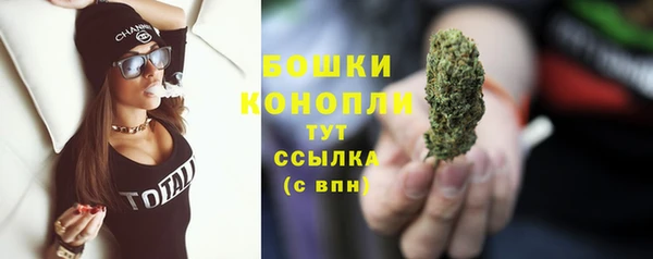 ГАЛЛЮЦИНОГЕННЫЕ ГРИБЫ Верея